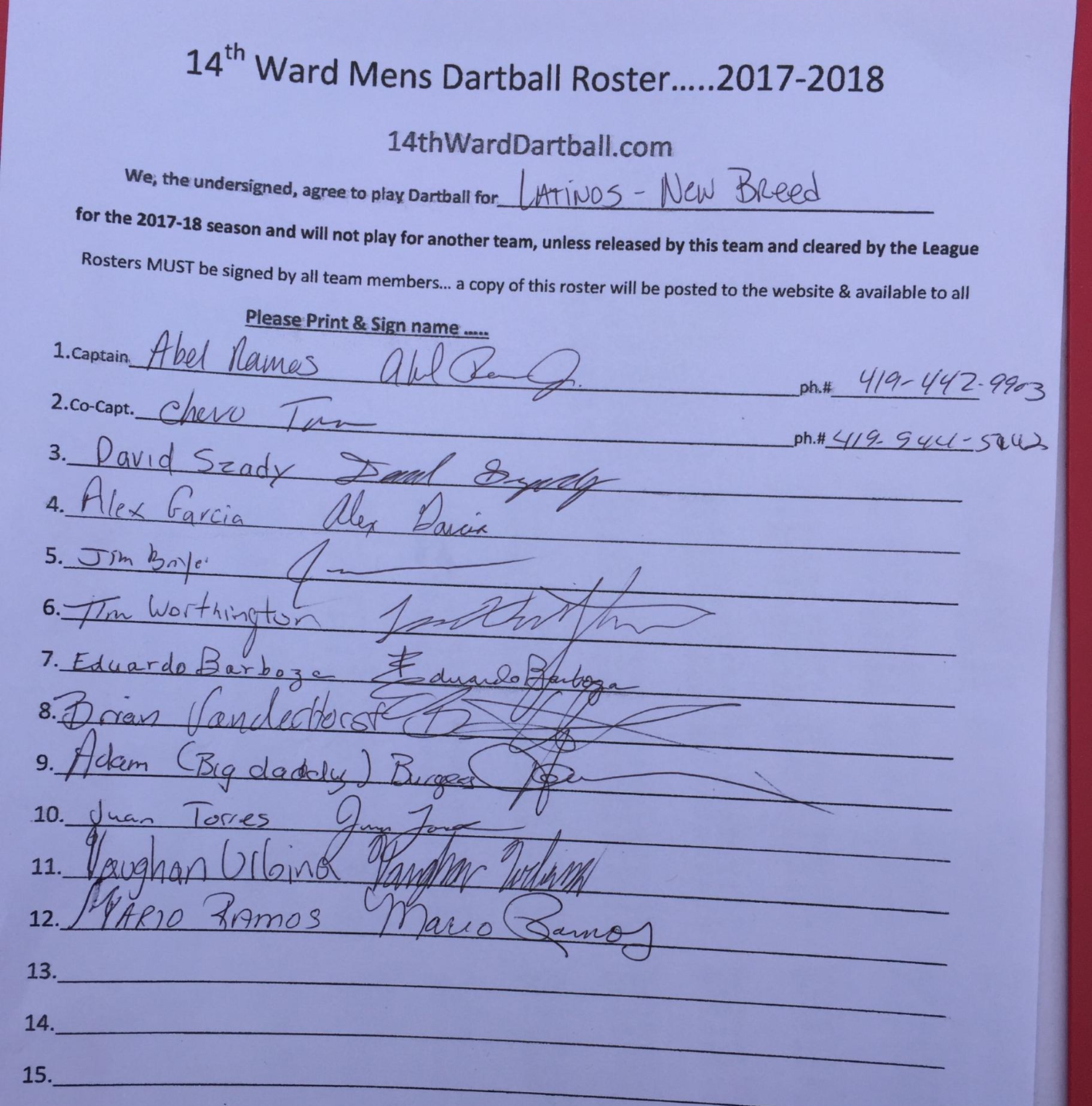 Toledo Dartball 201516